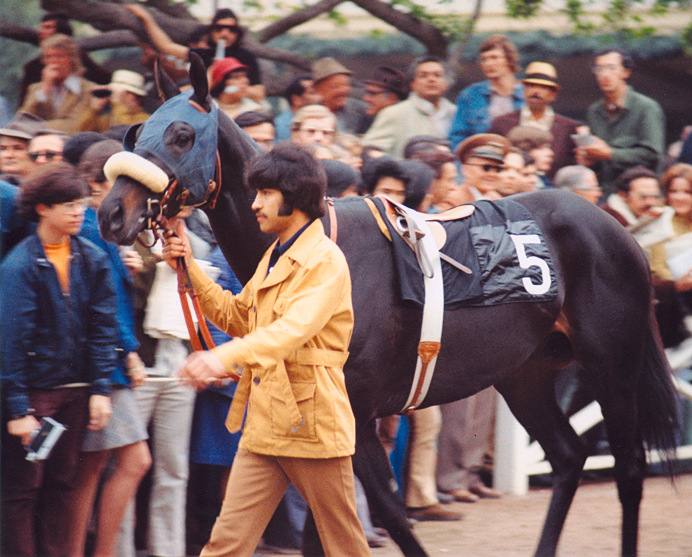 Linda's Chief, winner of the 1973 San Felipe Handicap and Sham's number one California competitor. ©Copyright Bill Mochon Photography.