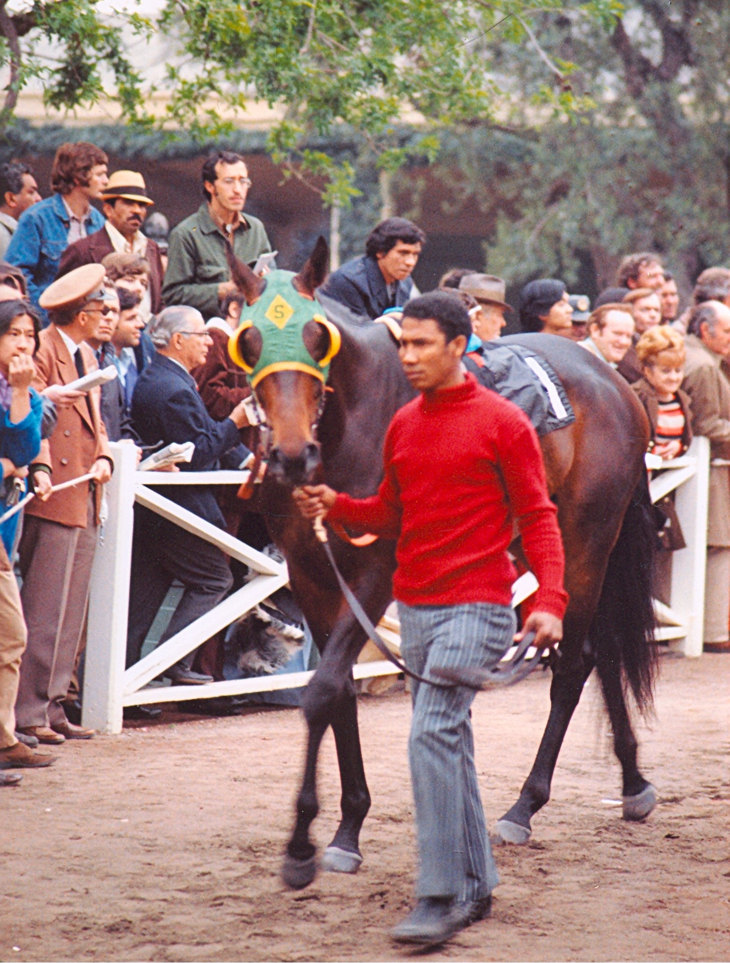 Sham with his groom, Secundino Gato, in the paddock prior to the 1973 Santa Anita Derby. ©Copyright Bill Mochon Photography.