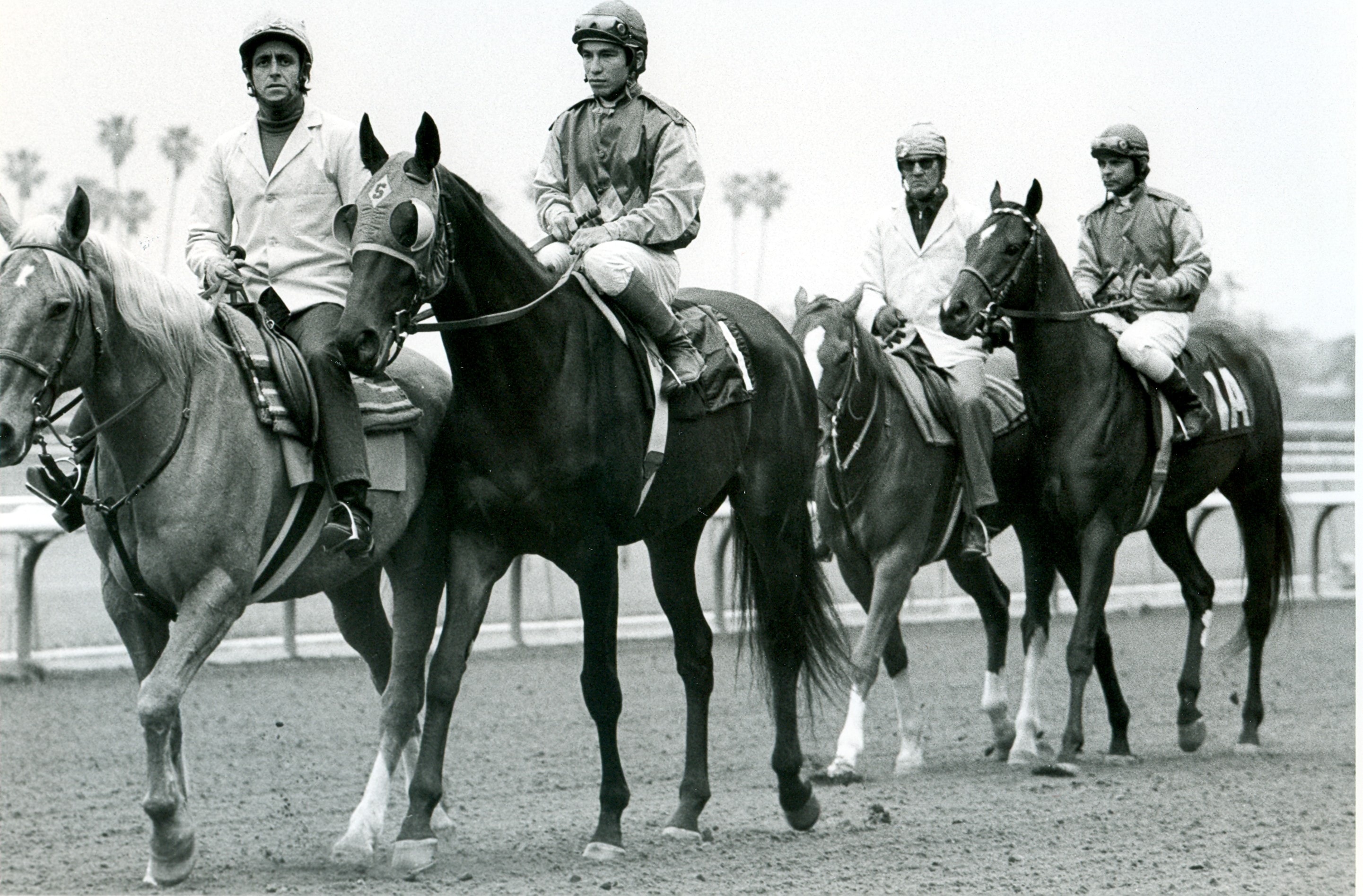 Sham, No. 1, with Laffit Pincay, Jr. up, and Knightly Dawn, No. 1A, with Milo Valenzuela up, lead the post parade for the 1973 running of the Santa Anita Derby. ©Copyright Bill Mochon Photography.